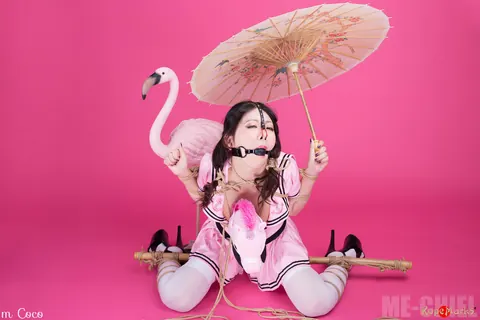 Asian Brunette in Stockings Bound and Ball Gagged – photo 12 of 16