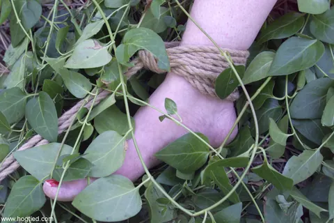 Paige Richards: Brunette MILF Hogtied Outdoors Spreads and Works a Dildo – photo 17 of 20