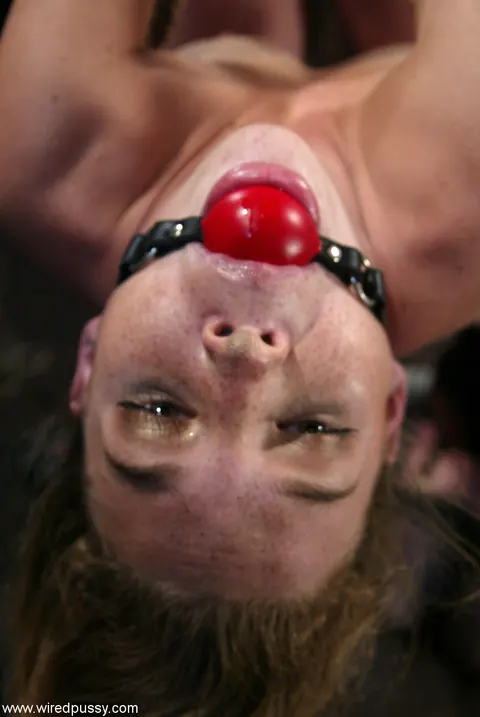 Ashley Gracie: Busty and Small-Titted Redheads Spread Pussies in Bondage – photo 6 of 20