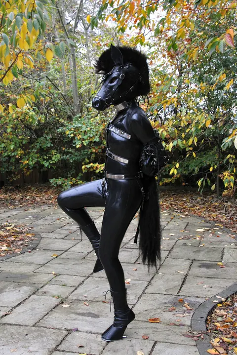Woman in Latex Poses Outdoors in Bondage on a Horse – photo 10 of 15
