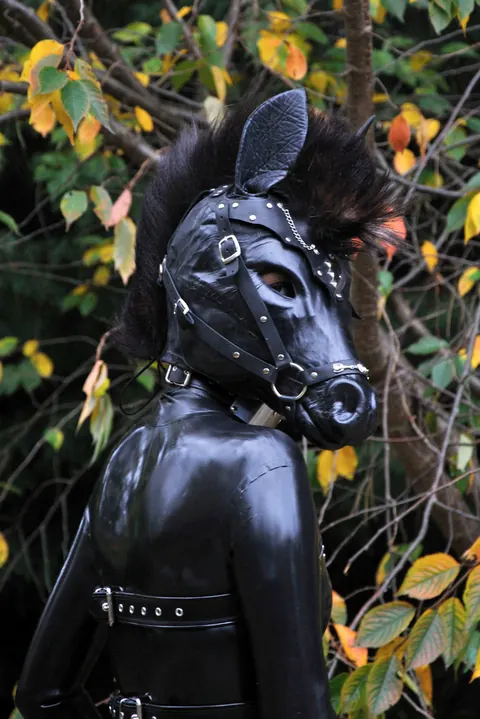 Woman in Latex Poses Outdoors in Bondage on a Horse – photo 5 of 15