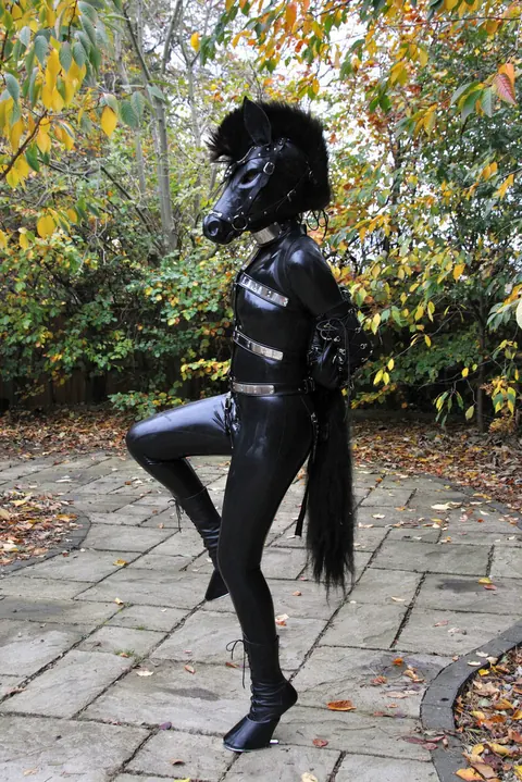Woman in Latex Poses Outdoors in Bondage on a Horse – photo 1 of 15