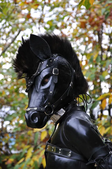 Woman in Latex Poses Outdoors in Bondage on a Horse – photo 15 of 15
