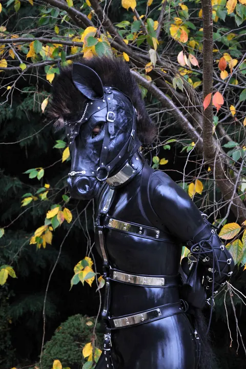 Woman in Latex Poses Outdoors in Bondage on a Horse – photo 12 of 15