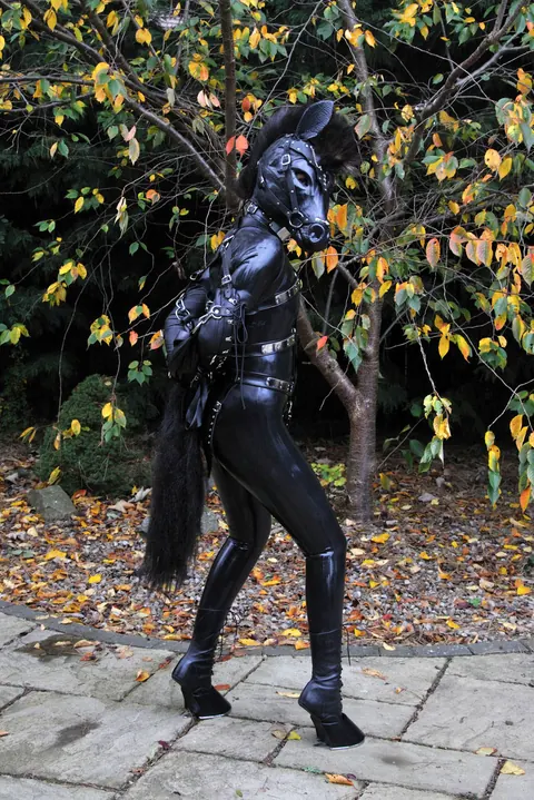 Woman in Latex Poses Outdoors in Bondage on a Horse – photo 11 of 15