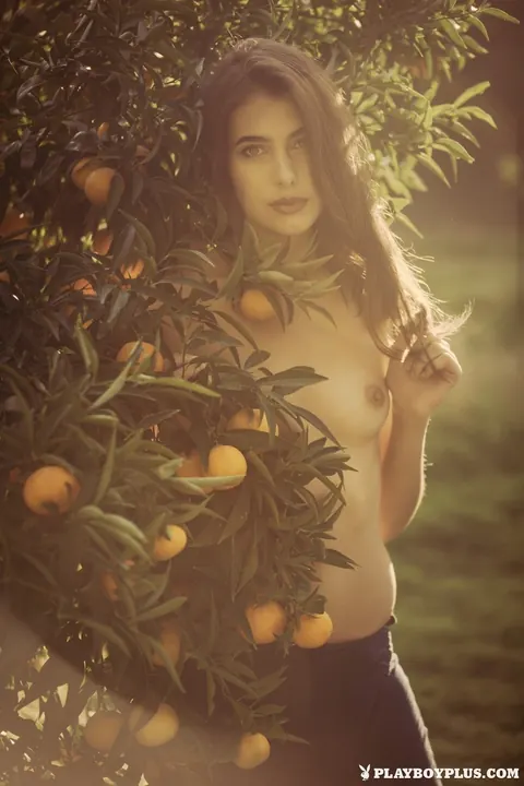Katrine Pirs: Brunette Undresses and Poses Nude in an Orange Grove – photo 2 of 16