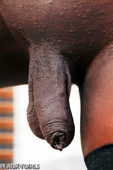 Thick Ebony Trans Woman in Stockings Strips Nude and Poses Her Ass – photo 11 of 16