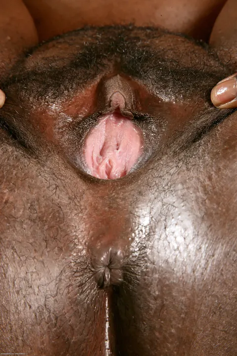 Chubby Ebony Woman Undresses and Spreads Her Hairy Pussy – photo 21 of 21