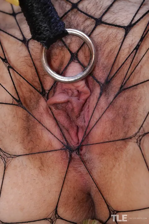 Brunette PAWG in Fishnet Pantyhose Spreads Her Labia – photo 15 of 16