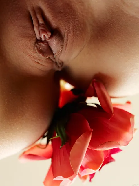 Woman in Panties Strips and Spreads Her Pussy – photo 14 of 21