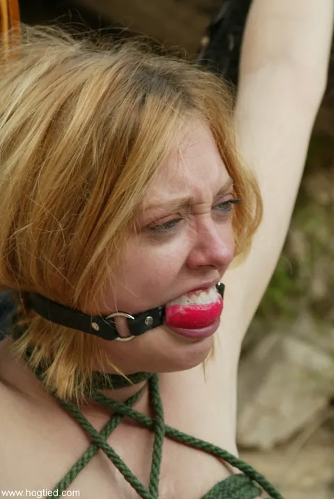Dee Williams: Skinny Blonde and Brunette MILFs Hogtied in Bondage – photo 5 of 21