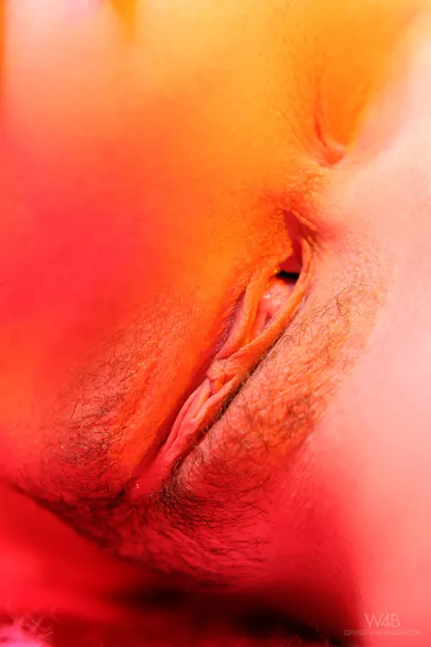 Kala Ferard: European Blonde with Natural Tits Spreads Her Trimmed Pussy – photo 15 of 21