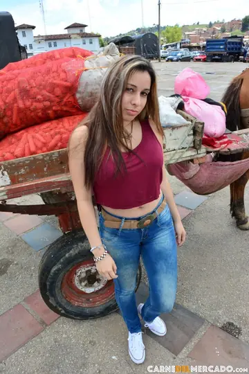 Latina Amateur with Fake Tits Gets Fucked Doggy Style Outdoors