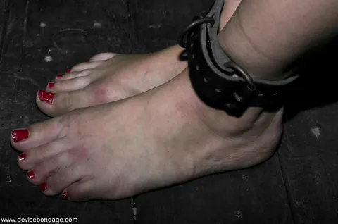 Annette Schwarz: Tall German MILF in Bondage Sucks Cock and Takes a Dildo – photo 3 of 20