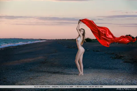 Elle Tan: Tall Slim Brunette Spreads on the Beach at Sunset – photo 1 of 18