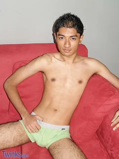 Slim Hairy Guy Strips and Jerks Off in the Bathroom – photo 7 of 21