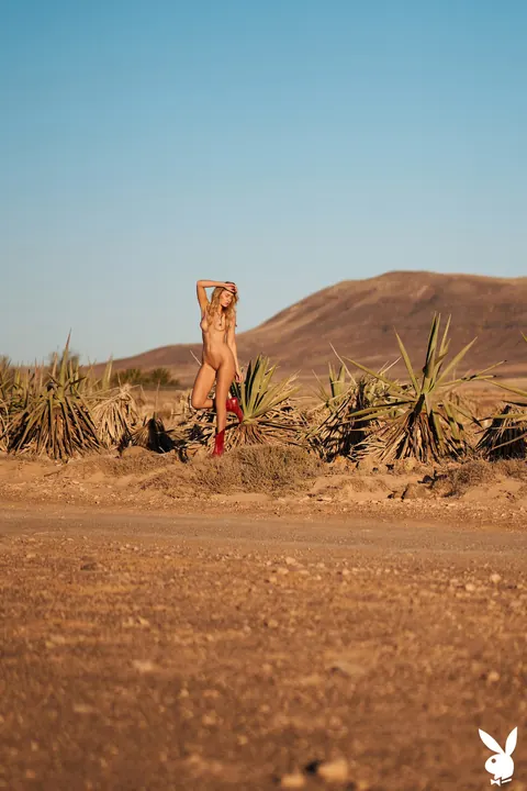 Blonde Strips Nude Beside a Car Outdoors – photo 20 of 21