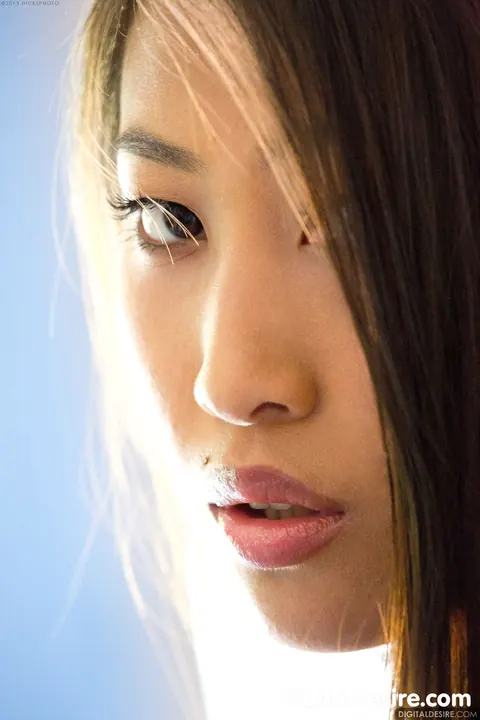 Sharon Lee: Asian Brunette Undresses and Poses Nude for the Camera – photo 16 of 21