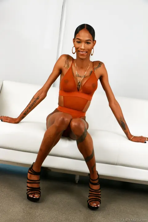 Tall Ebony Trans Woman Masturbates Nude and Grips Her Ass – photo 4 of 19