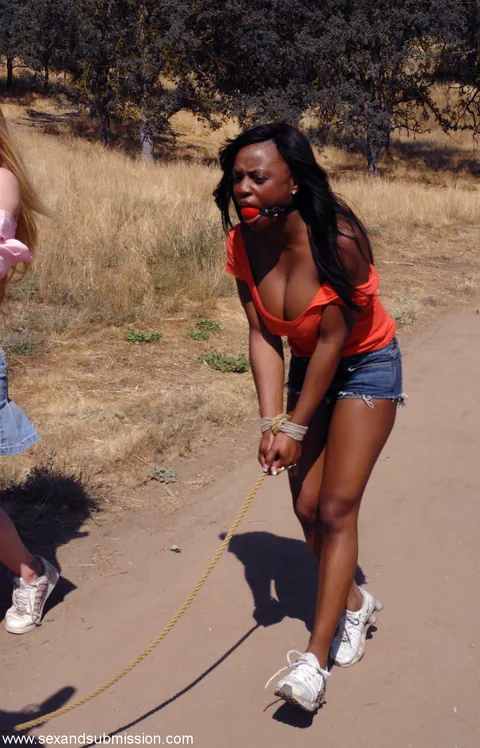 Jada Fire & Tawni Ryden: Petite Blonde MILF Bound and Spread Outdoors – photo 7 of 20