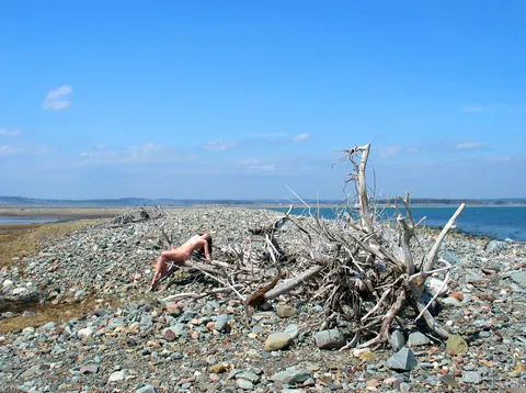 Woman Poses Nude on the Beach and in the Forest – photo 11 of 21