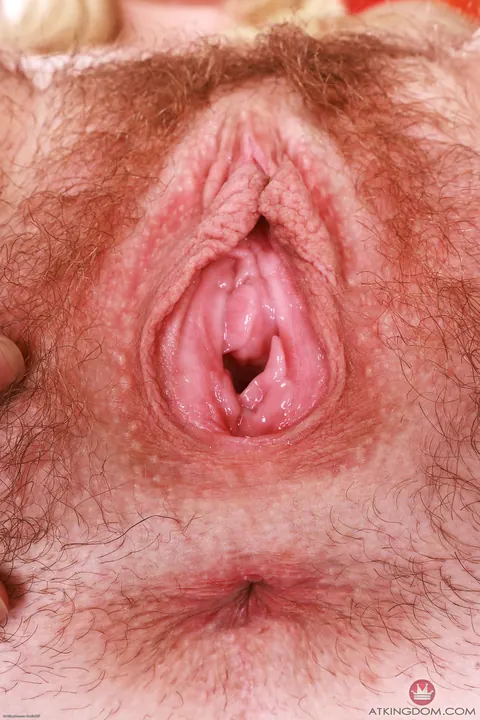 Chloe Foster: Petite Blonde in Jeans Strips Nude and Spreads Her Hairy Pussy – photo 18 of 21