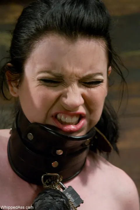 Claire Adams: Busty Brunette Dominates Redhead in Lesbian Bondage – photo 19 of 21