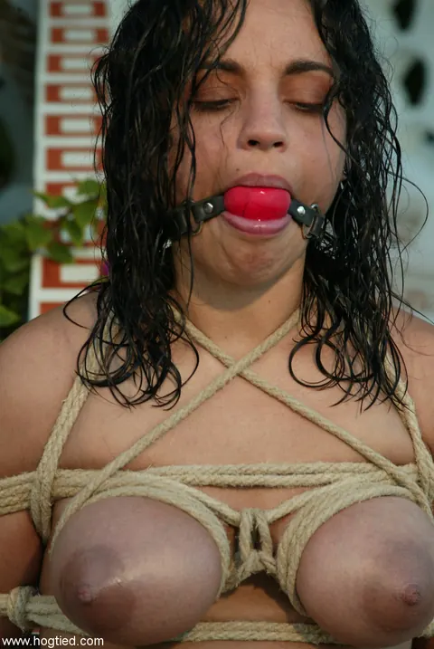 Dee Williams: Busty Brunette MILFs Bound and Toyed Outdoors in a Group – photo 10 of 20
