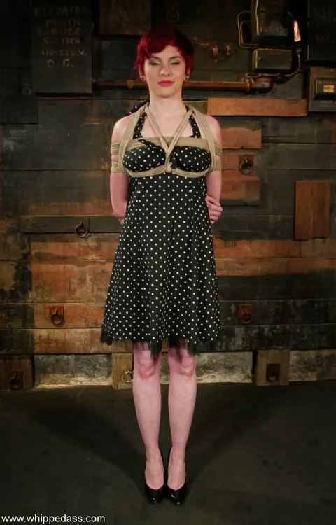 Claire Adams: Thick Redhead MILF in a Dress Bound for Lesbian Bondage – photo 2 of 21