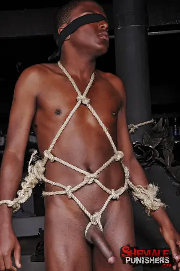 Three Trans Women in Latex Dominate Bound Black Man