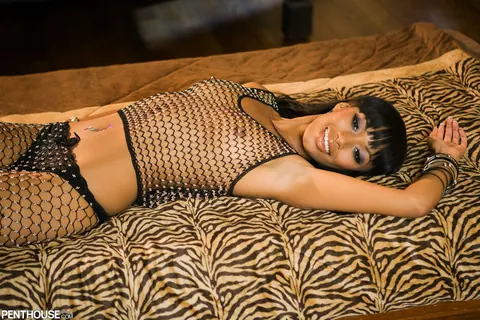 Bella Moretti: Thick African Brunette Strips Out of Fishnet and Panties – photo 3 of 17