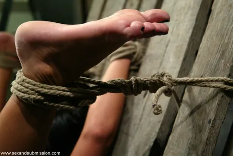 Sandra Romain: Brunette MILF Tied Up and Fucked in Bondage Session – photo 2 of 21