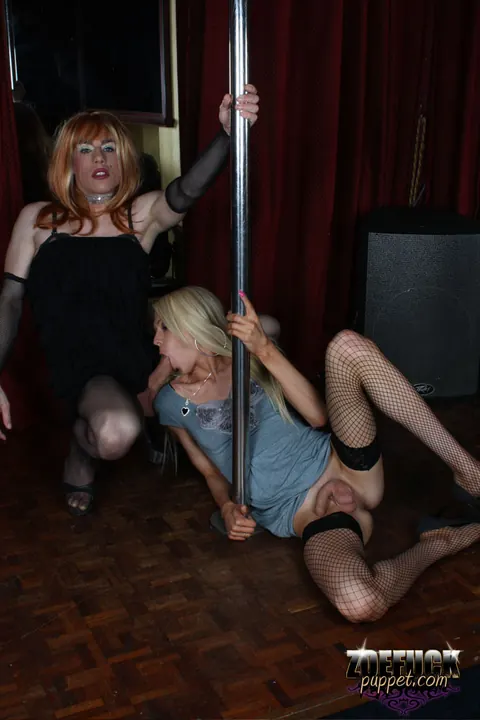Trans Woman Strips, Kisses Partner and Has Sex – photo 7 of 15