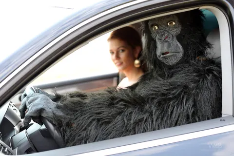 Woman Kisses and Fucks Gorilla-Suited Man Outdoors – photo 20 of 20