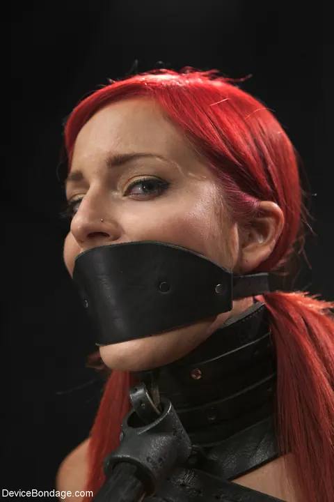Phoenix Askani: Tattooed Brunette in Bondage Masturbates with a Dildo – photo 6 of 21