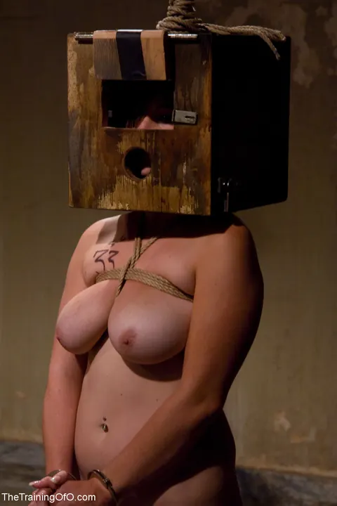 Bella Rossi: Busty Women Ride a Sybian and Play with Dildos in BDSM Orgy – photo 14 of 20