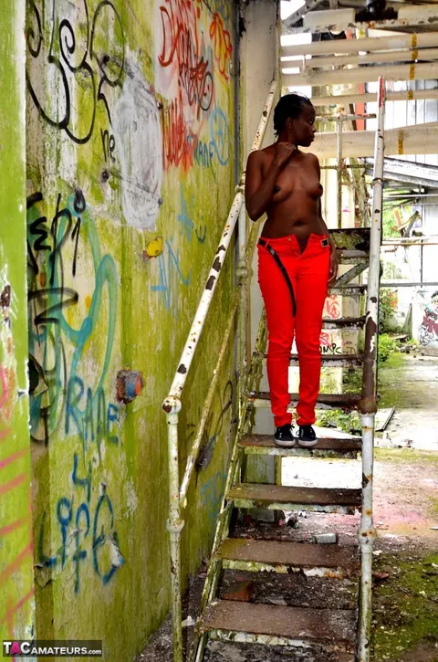 Thick Ebony Woman Poses Nude with Big Ass – photo 12 of 16