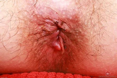 Ronnie Kim: Slim Brunette with Hairy Pussy Undresses and Poses Nude – photo 17 of 21