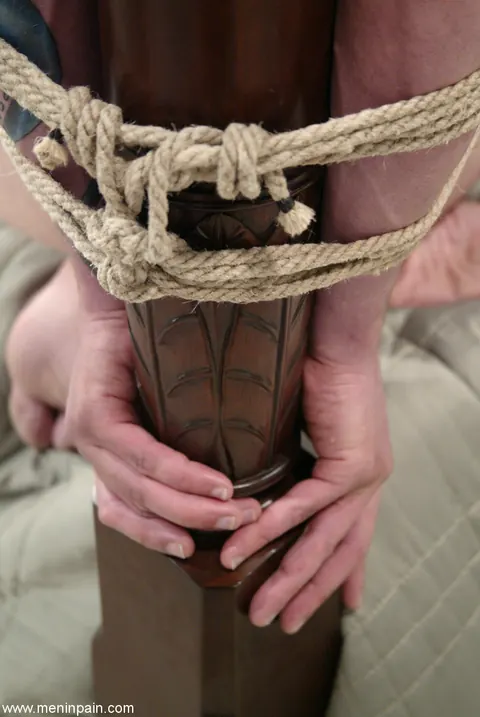 DragonLily: Asian Brunette in Lingerie Dominates Her Man in BDSM Play – photo 2 of 21