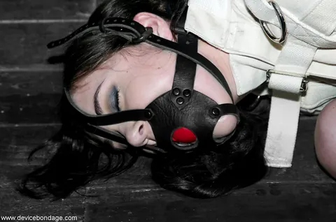 Sasha Grey: Brunette PAWG in Bondage Spreads Her Pussy While Restrained – photo 8 of 20