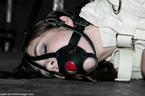 Sasha Grey: Brunette PAWG in Bondage Spreads Her Pussy While Restrained – photo 10 of 20