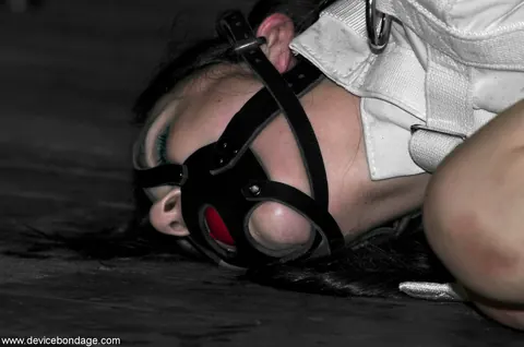 Sasha Grey: Brunette PAWG in Bondage Spreads Her Pussy While Restrained – photo 17 of 20