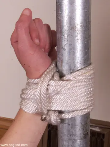 Slim Tattooed Brunette Bound in Rope Bondage Takes a Whipping