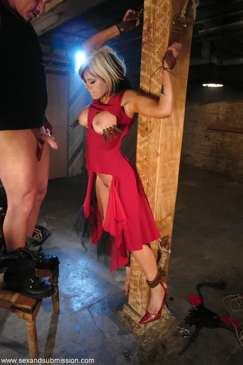 Gia Paloma: Blonde in Panties Bound and Fucked in BDSM Session – photo 16 of 21