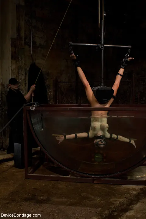 Rain DeGrey: Tattooed Blonde with Big Tits Gets Toyed Underwater in Bondage – photo 2 of 21