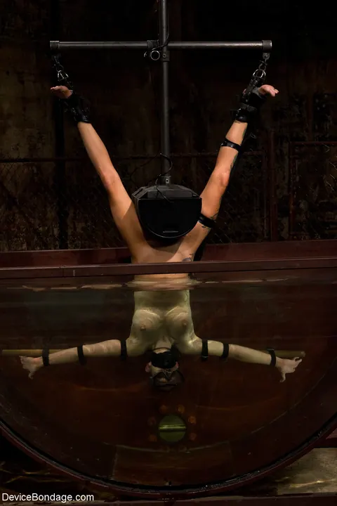 Rain DeGrey: Tattooed Blonde with Big Tits Gets Toyed Underwater in Bondage – photo 17 of 21