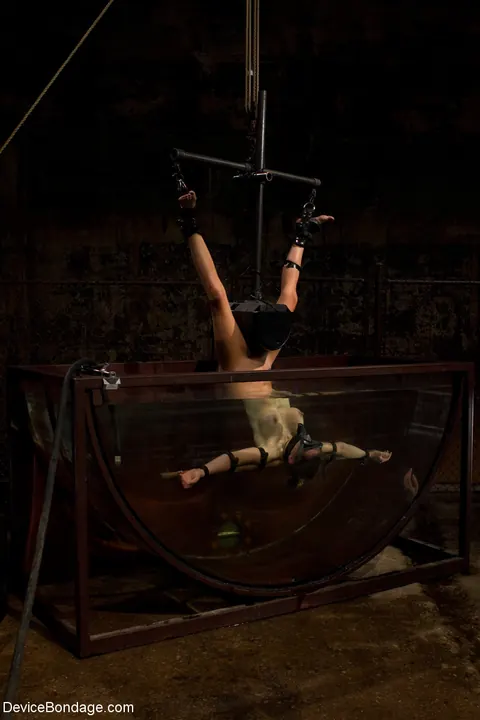 Rain DeGrey: Tattooed Blonde with Big Tits Gets Toyed Underwater in Bondage – photo 15 of 21