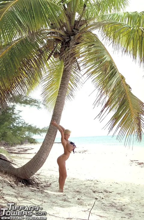 Tiffany Towers: Blonde with Giant Fake Tits Spreads Her Pussy on the Beach – photo 3 of 16