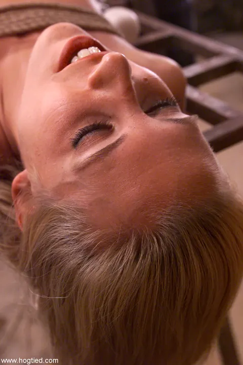 Heaven Lee: Blonde MILF Hogtied in Bondage Takes a Dildo and Spreads – photo 20 of 21