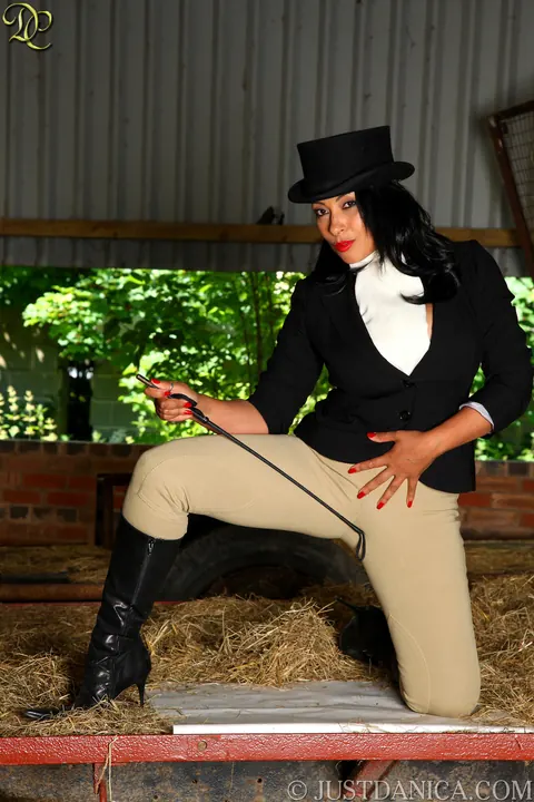 Danica Collins: Thick Ebony MILF in Stockings Frees Her Big Tits and Uses a Dildo – photo 5 of 21